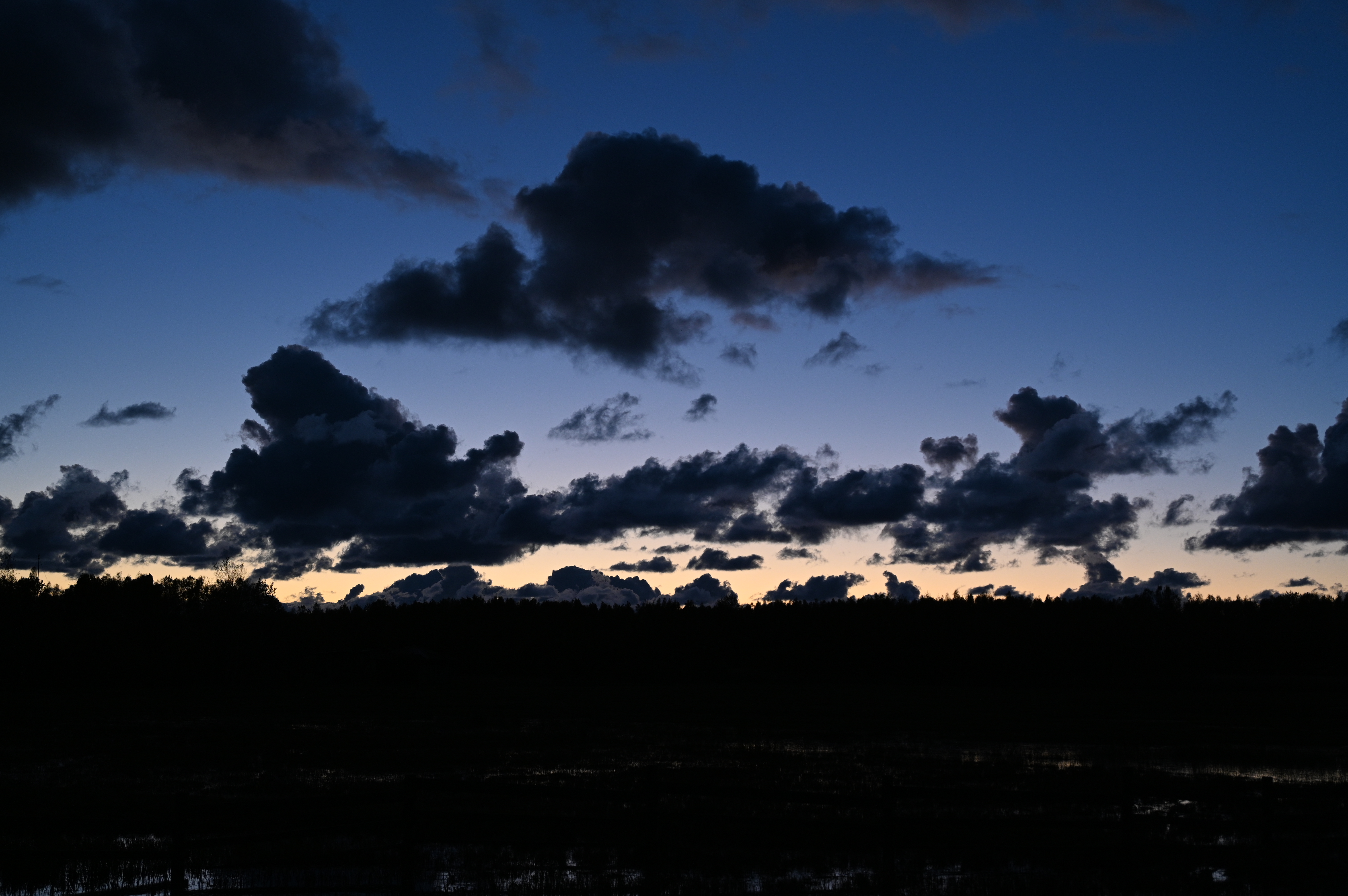 2025/10/18 - walk/DSC_0672.JPG